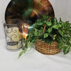 Dish Plant & Candle