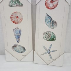 Seashell Canvas Pictures