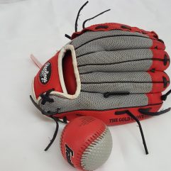 Rawlings Mit