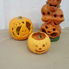 Pumpkins (3)