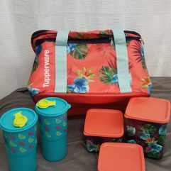 Tupperware Cooler and Containers