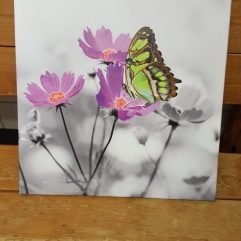 Canvas - Flowers & Butterfly's