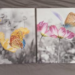 Butterfly Canvas Prints