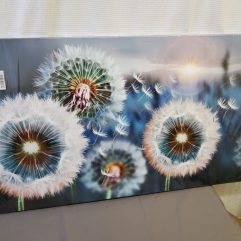 Wishing Canvas Print
