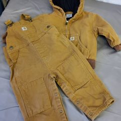Carhartt Jacket & Bibs