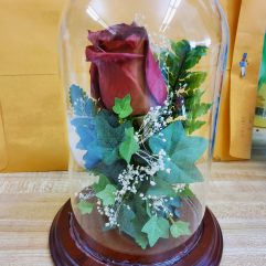 Beautiful Preserved Flower in Glass Dome