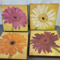 Flower Pictures