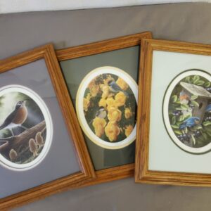 Beautiful Bird Prints