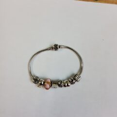 Pandora Bracelet with Charms