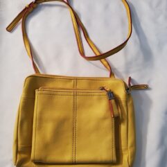 Tignanello crossbody bag