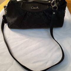 Coach Ashley Signature Hobo Bag