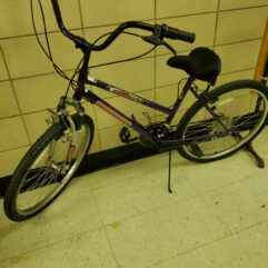 Thruster Maximum Terrain Bike - Purple