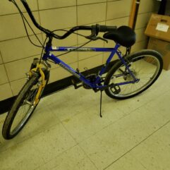 Thruster Maximum Terrain Bike - Blue