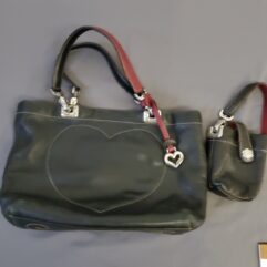Brighton Bag