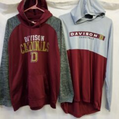 Davison Hoodies