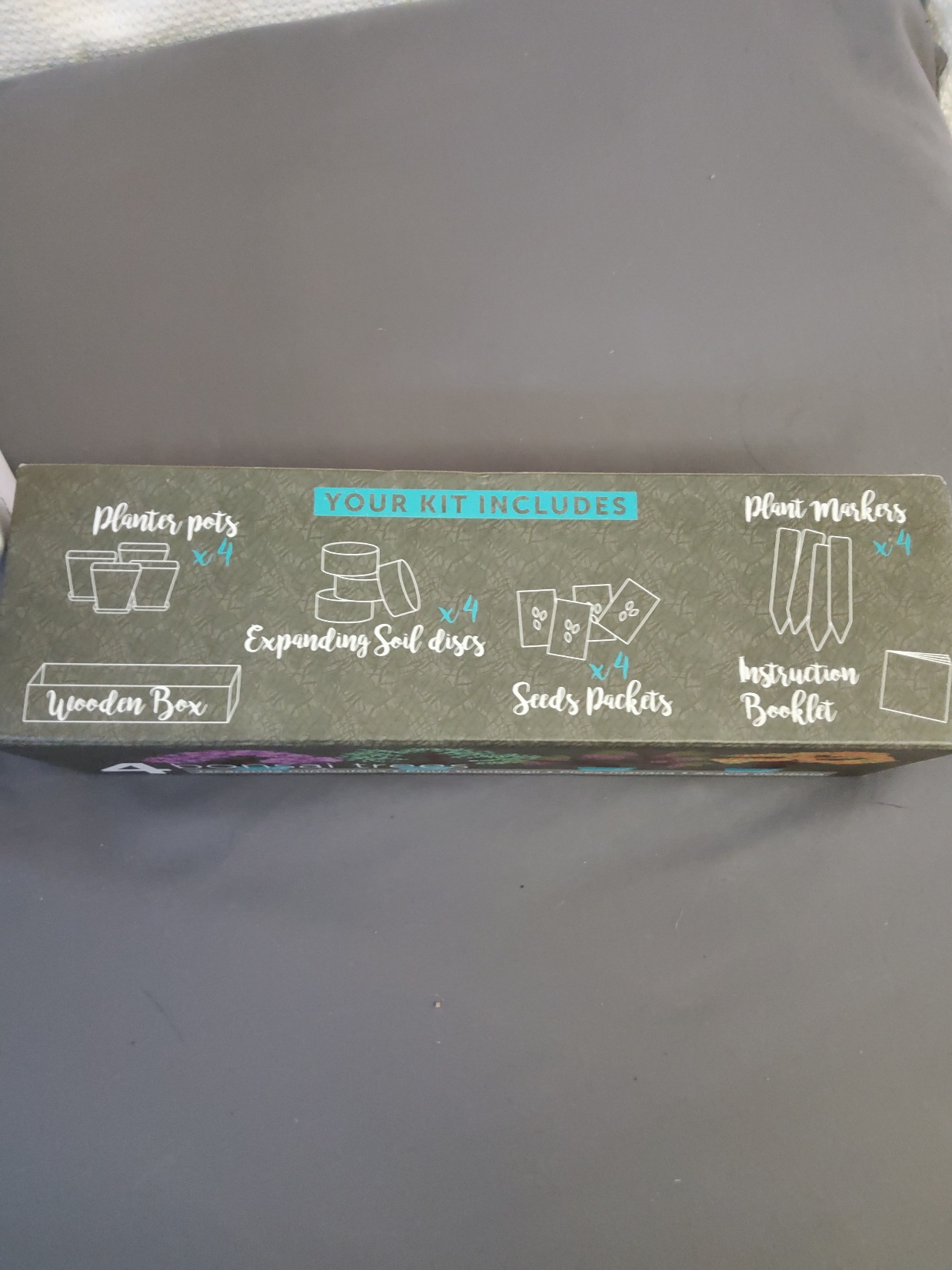 Bonsai Tree Kit with Aromatherapy - Image 3