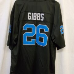 Lions Gibbs Jersey
