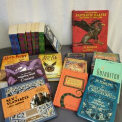 Harry Potter Book Library