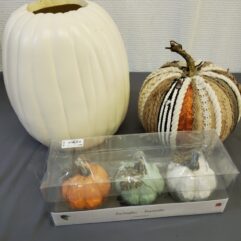 Pumpkins all different