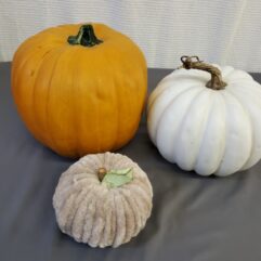 Halloween Fall Decor