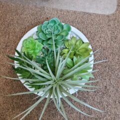 succulent round planter- fake