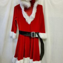 Lady Santa Outfit !